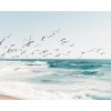 Birds on Seascape Print