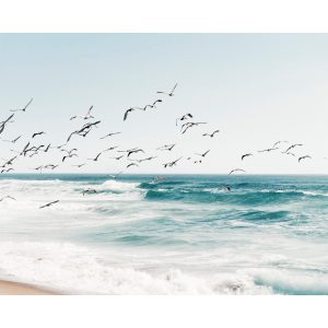Birds on Seascape Print