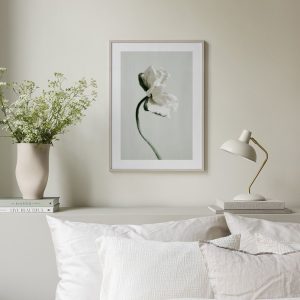 White Poppy Flower Print